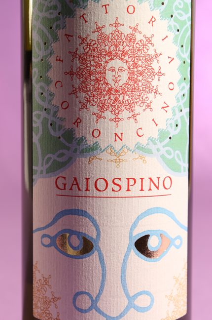 etichetta del vino gaiospino 2013 da 750 millilitri dell'azienda agricola Fattoria Coroncino